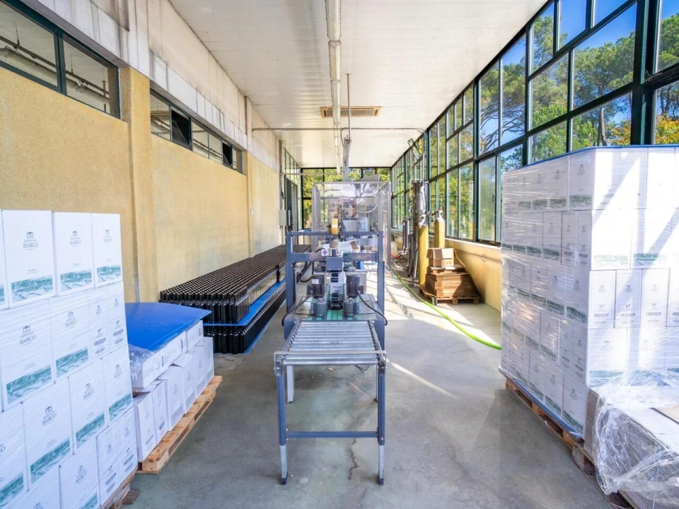 Quinta T8 para Venda em Manhente Foto 46