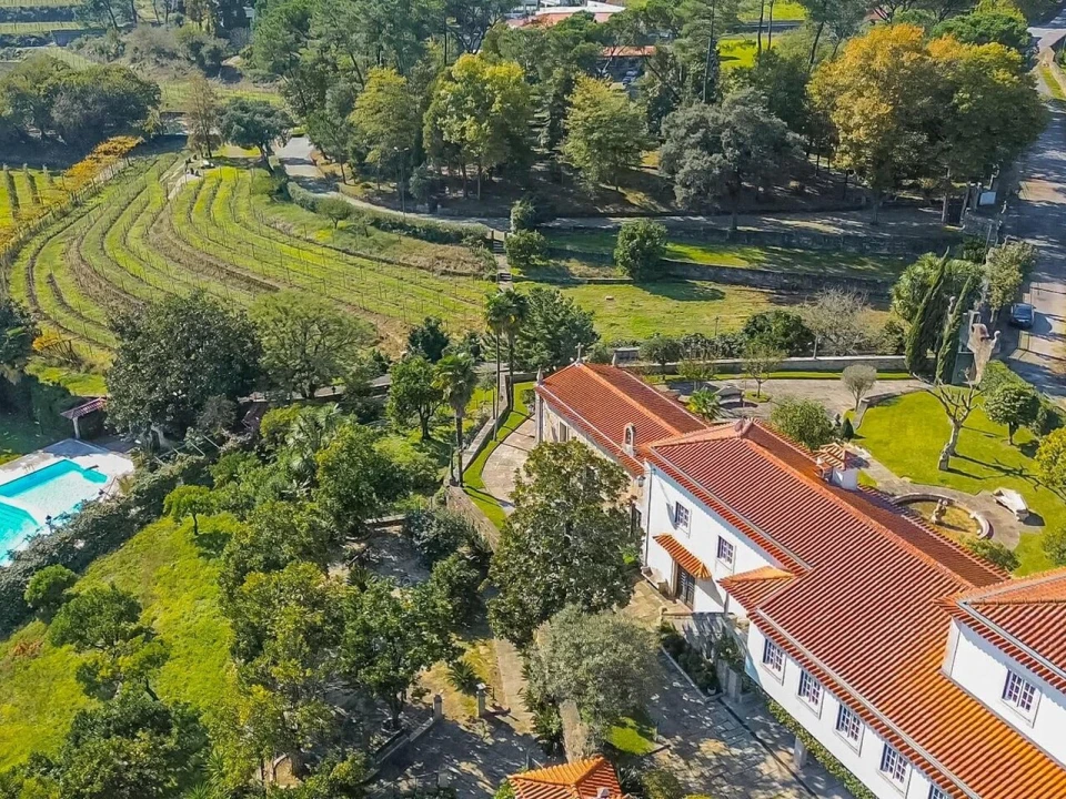 Quinta T8 para Venda em Manhente Foto 52