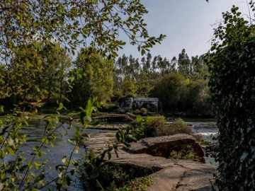 Quinta T8 para Venda em Manhente
