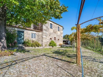 Quinta T8 para Venda em Manhente