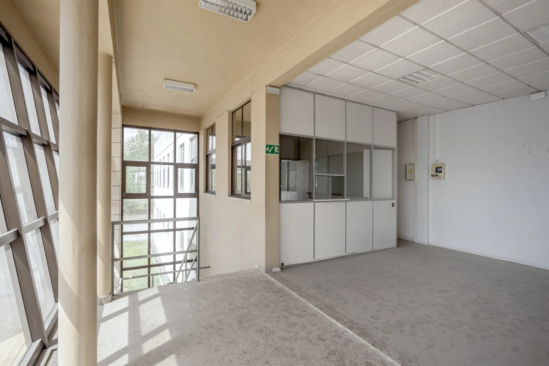 Armazém para Venda em Torres Novas (Santa Maria, Salvador e Santiago) Foto 15