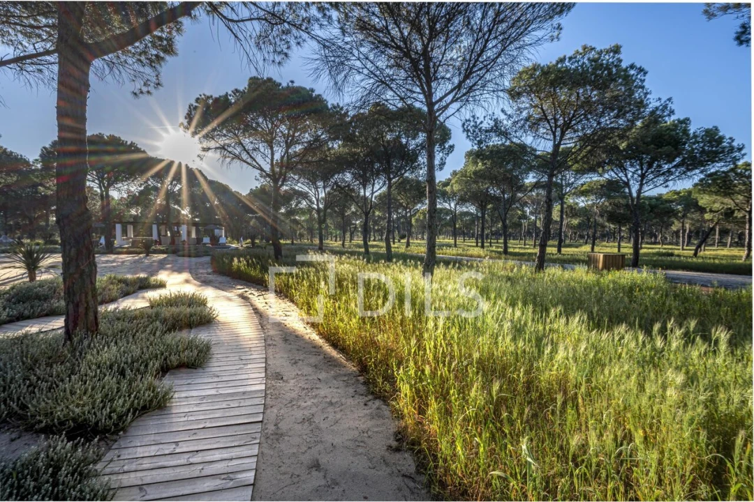 Moradia T5 para Venda em Grândola e Santa Margarida da Serra Foto 29