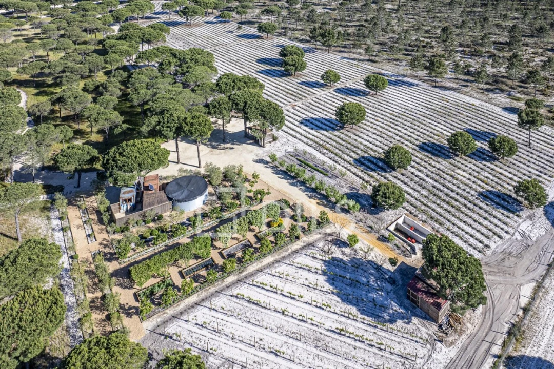 Moradia T5 para Venda em Grândola e Santa Margarida da Serra Foto 35