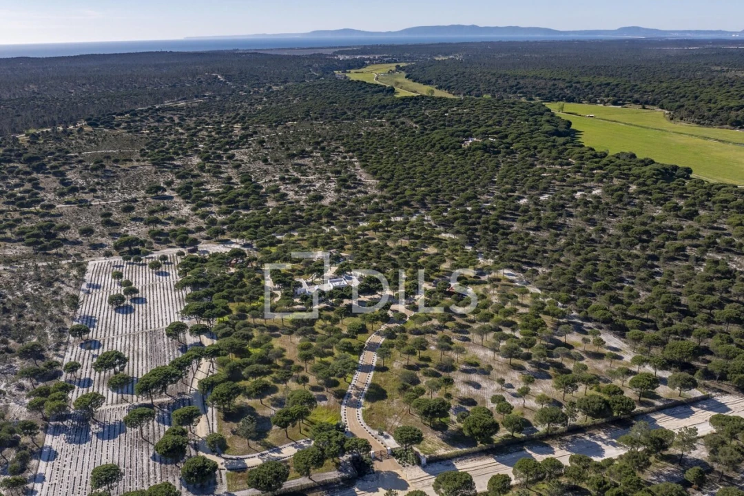 Moradia T5 para Venda em Grândola e Santa Margarida da Serra Foto 36