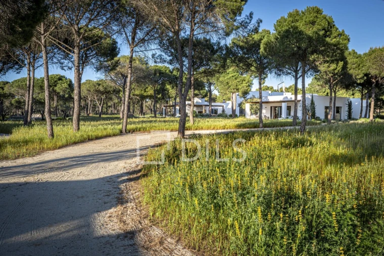 Moradia T5 para Venda em Grândola e Santa Margarida da Serra Foto 30