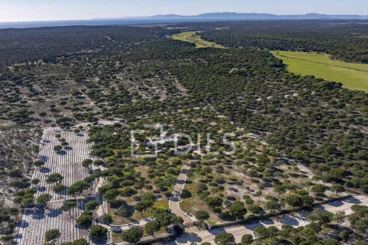 Moradia T5 para Venda em Grândola e Santa Margarida da Serra Foto 36