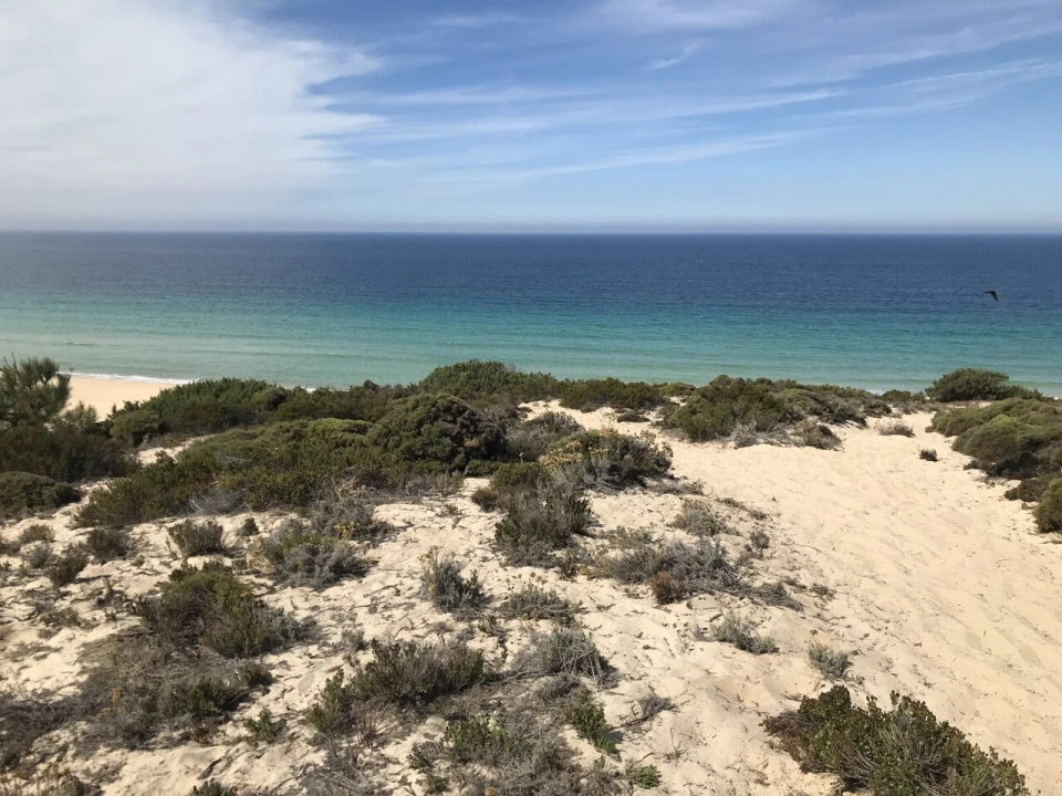 Apartamento T3 para Venda em Porto Covo Foto 19