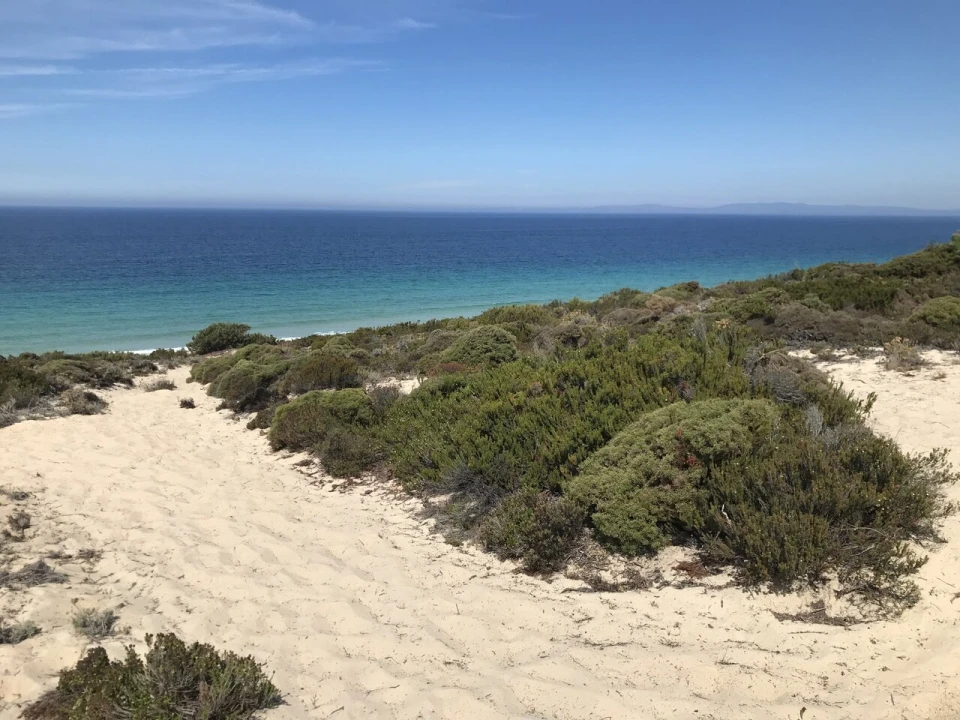 Apartamento T2 para Venda em Porto Covo Foto 15