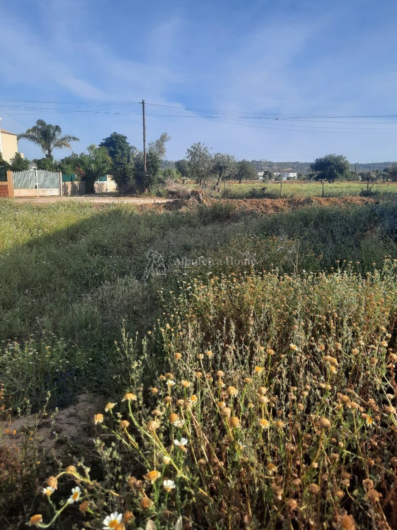 Terreno para Venda em Algoz e Tunes Foto 3