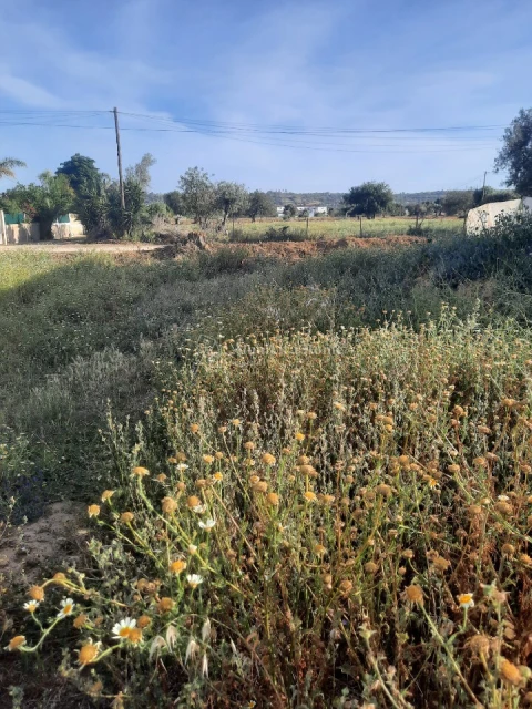 Terreno para Venda em Algoz e Tunes