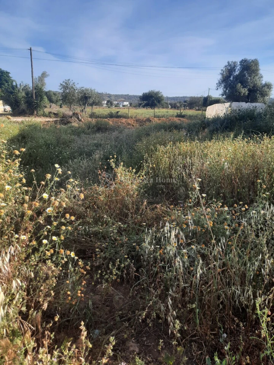 Terreno para Venda em Algoz e Tunes Foto 2