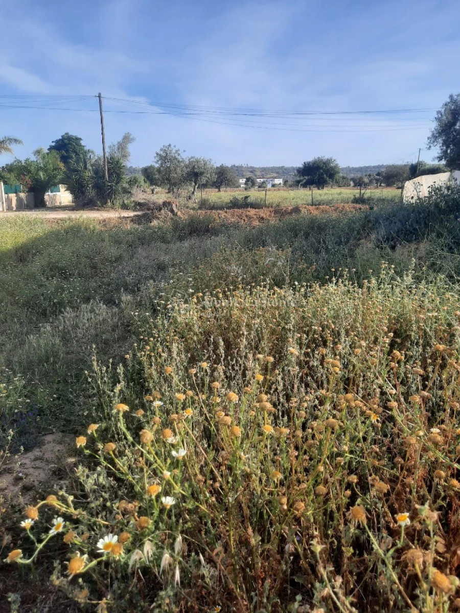 Terreno para Venda em Algoz e Tunes Foto 4