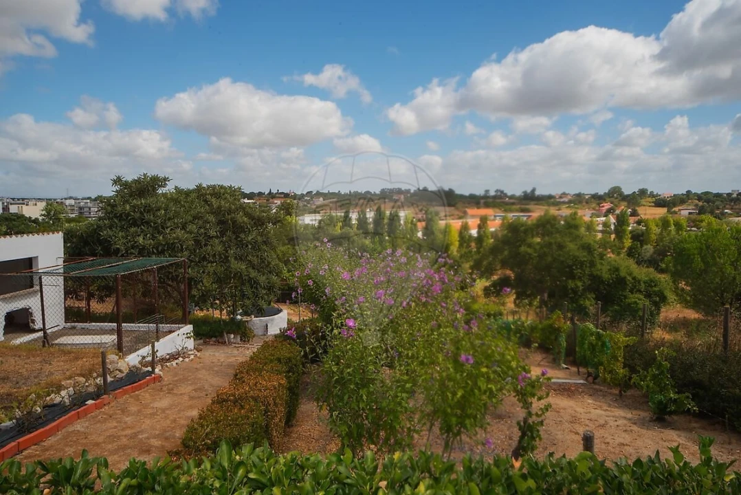 Moradia T3 para Venda em Cartaxo e Vale da Pinta Foto 31