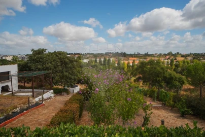 Moradia T3 para Venda em Cartaxo e Vale da Pinta