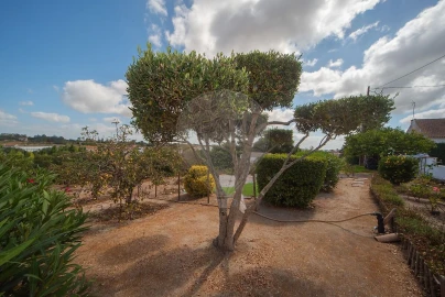 Moradia T3 para Venda em Cartaxo e Vale da Pinta