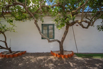 Moradia T3 para Venda em Cartaxo e Vale da Pinta