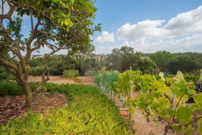 Moradia T3 para Venda em Cartaxo e Vale da Pinta