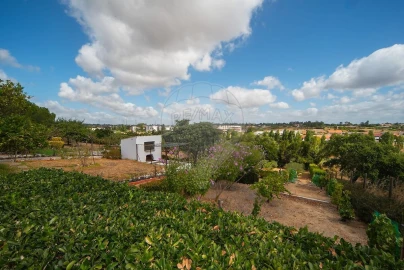 Moradia T3 para Venda em Cartaxo e Vale da Pinta