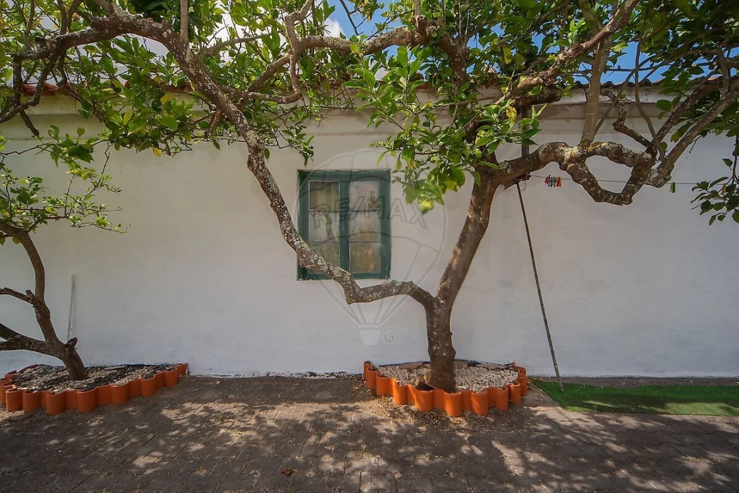 Moradia T3 para Venda em Cartaxo e Vale da Pinta Foto 27