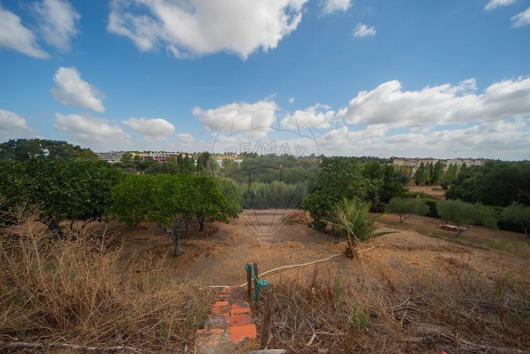 Moradia T3 para Venda em Cartaxo e Vale da Pinta Foto 35