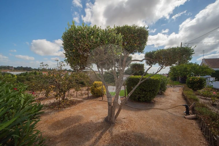 Moradia T3 para Venda em Cartaxo e Vale da Pinta Foto 39