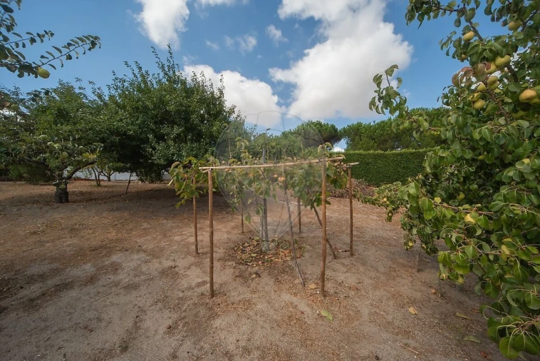 Moradia T3 para Venda em Cartaxo e Vale da Pinta Foto 38