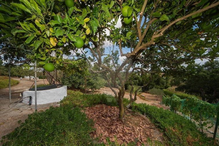 Moradia T3 para Venda em Cartaxo e Vale da Pinta Foto 32