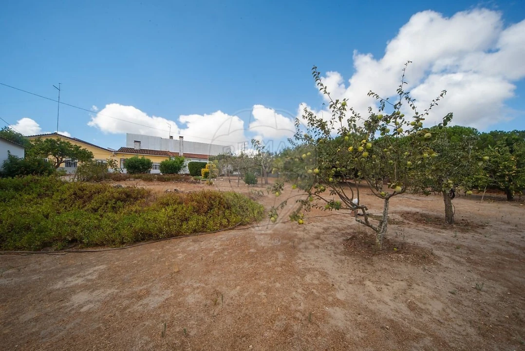 Moradia T3 para Venda em Cartaxo e Vale da Pinta Foto 34