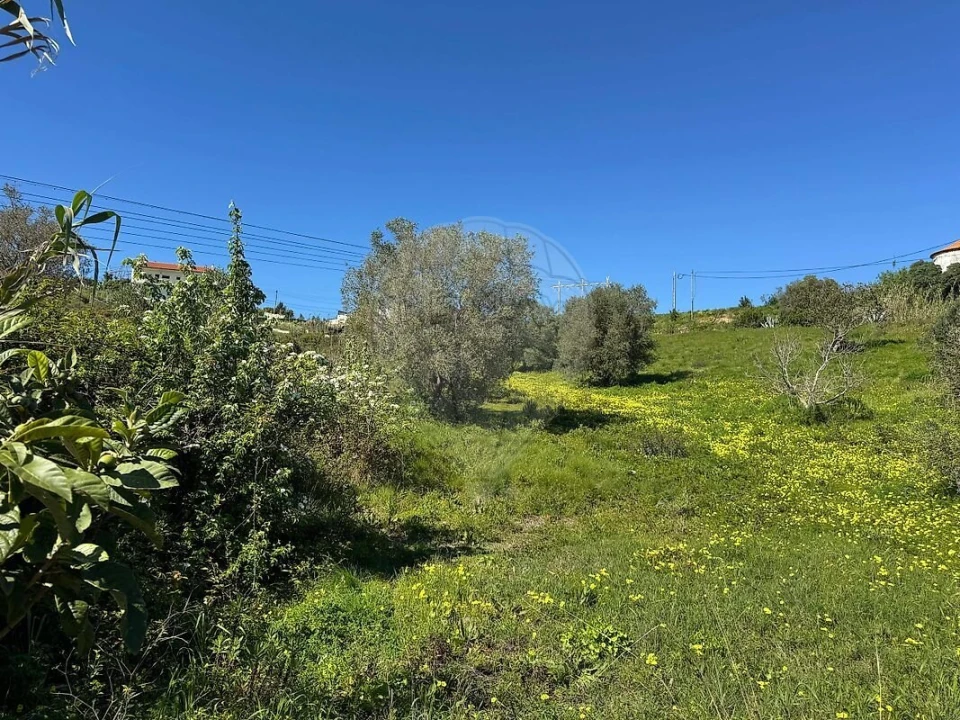 Terreno para Venda em Alhandra, São João dos Montes e Calhandriz Foto 27