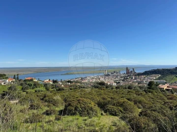 Terreno para Venda em Alhandra, São João dos Montes e Calhandriz