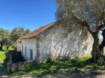 Terreno para Venda em Alhandra, São João dos Montes e Calhandriz