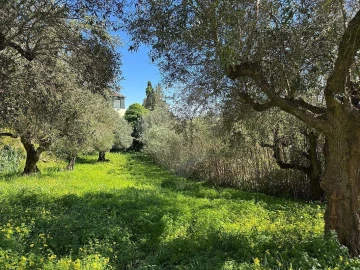 Terreno para Venda em Alhandra, São João dos Montes e Calhandriz
