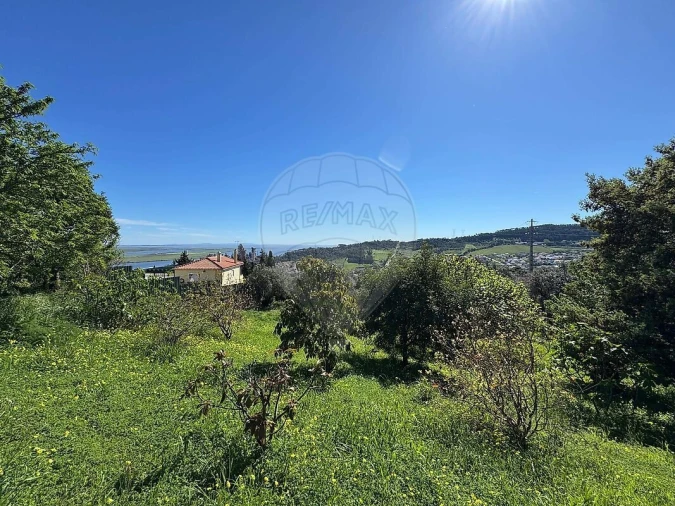 Terreno para Venda em Alhandra, São João dos Montes e Calhandriz Foto 3