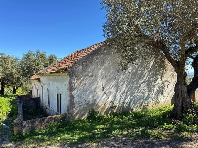 Terreno para Venda em Alhandra, São João dos Montes e Calhandriz Foto 9