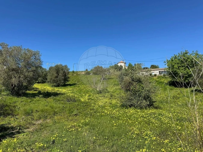 Terreno para Venda em Alhandra, São João dos Montes e Calhandriz Foto 31