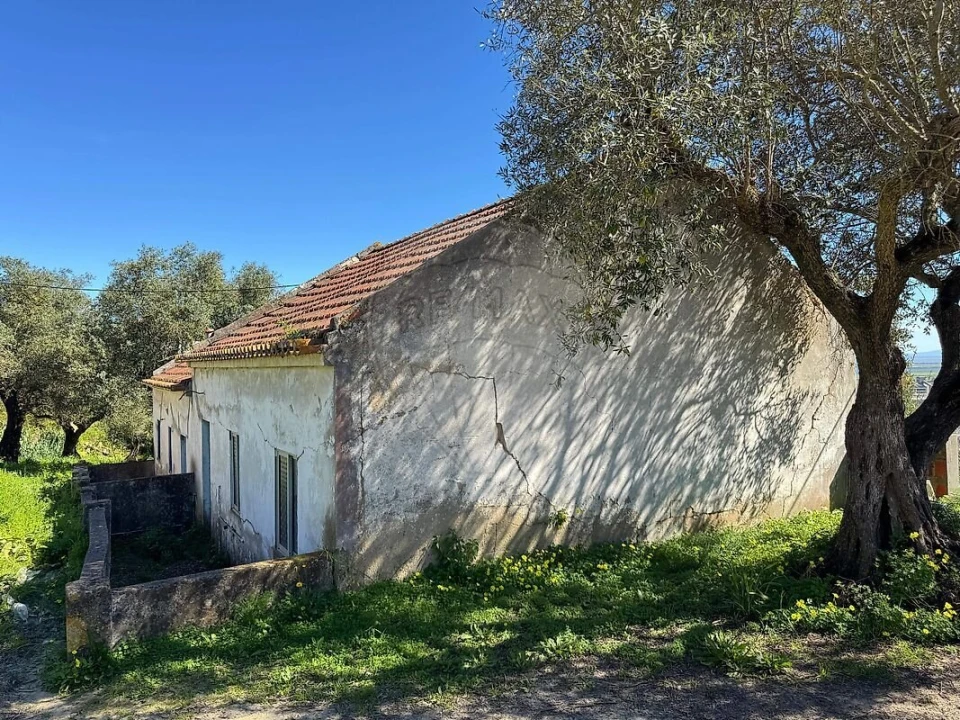 Terreno para Venda em Alhandra, São João dos Montes e Calhandriz Foto 9