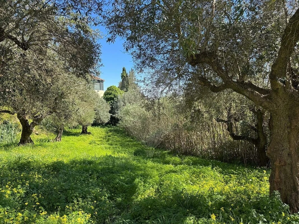 Terreno para Venda em Alhandra, São João dos Montes e Calhandriz Foto 5