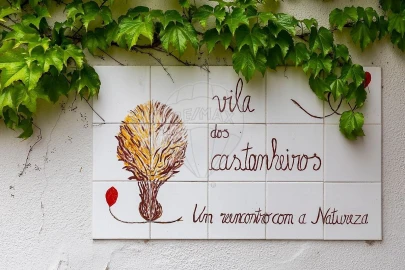 Quinta T21 para Venda em Nossa Senhora do Pranto