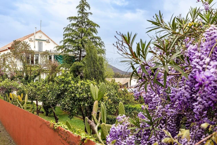 Quinta T21 para Venda em Nossa Senhora do Pranto Foto 3