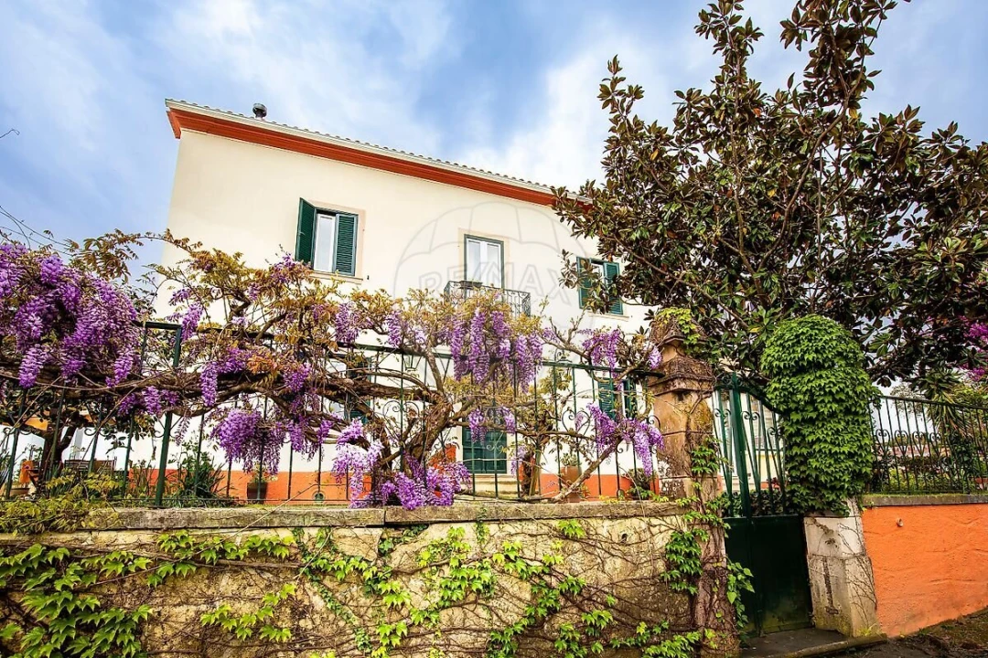 Quinta T21 para Venda em Nossa Senhora do Pranto Foto 1