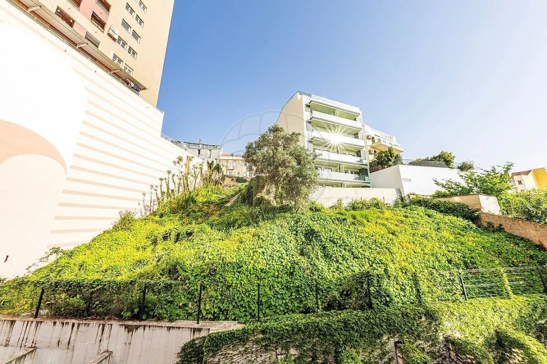 Apartamento T2 para Venda em São Vicente Foto 24