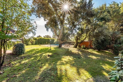 Moradia T3 para Venda em Palmela