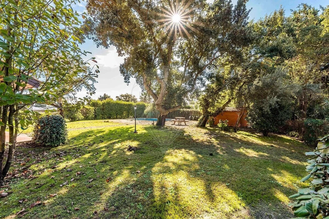 Moradia T3 para Venda em Palmela Foto 10