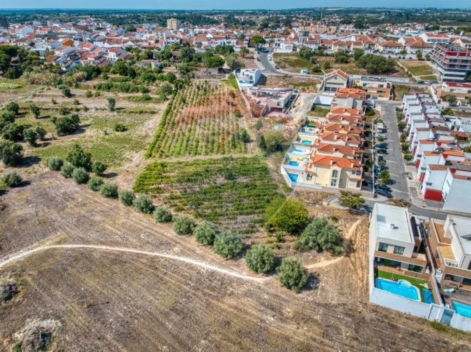 Terreno para Venda em Cartaxo e Vale da Pinta Foto 11