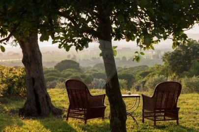 Moradia T2 para Venda em Chamusca e Pinheiro Grande