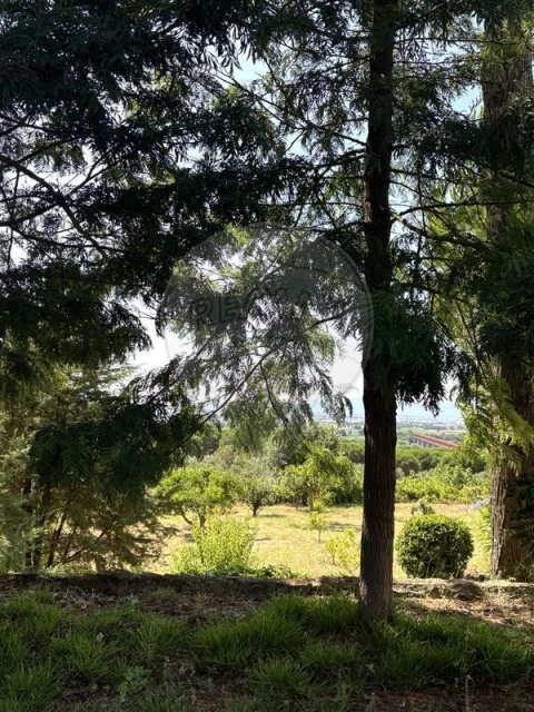 Moradia T2 para Venda em Chamusca e Pinheiro Grande