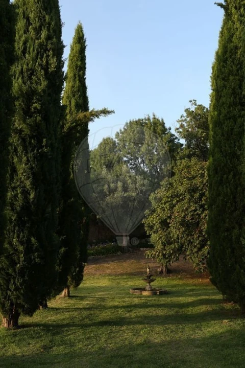 Moradia T2 para Venda em Chamusca e Pinheiro Grande