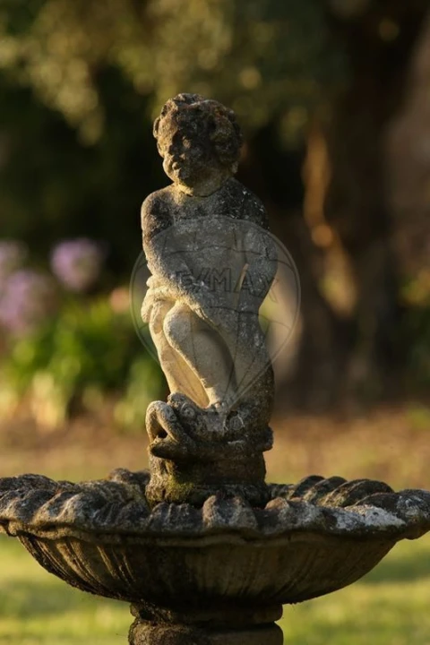 Moradia T2 para Venda em Chamusca e Pinheiro Grande