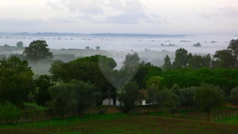 Moradia T2 para Venda em Chamusca e Pinheiro Grande