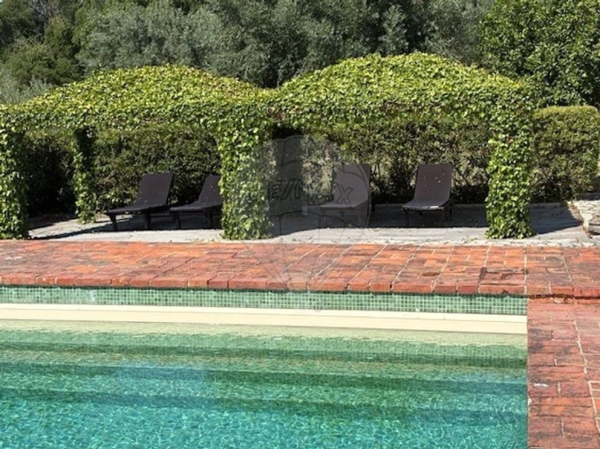 Moradia T2 para Venda em Chamusca e Pinheiro Grande Foto 14